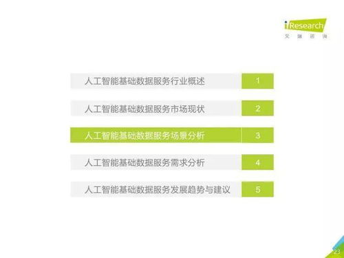 《人工智能基礎(chǔ)數(shù)據(jù)服務(wù)與軟件開發(fā) 驅(qū)動(dòng)AI產(chǎn)業(yè)的雙引擎——中國(guó)人工智能基礎(chǔ)數(shù)據(jù)服務(wù)行業(yè)報(bào)告》